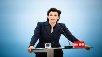 SPÖ'de genel başkanlık entrikaları. Yeni genel Başkan kim olacak?