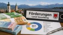 Vorarlberg'de 867 Milyon Avroluk Destek: En Fazla Teşvik Kime Gitti?