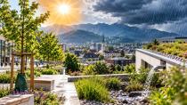 Dornbirn iklim değişikliğine hazırlanıyor: Daha fazla ağaç, daha az beton