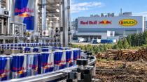 Red Bull ve Rauch’a Yeşil Işık